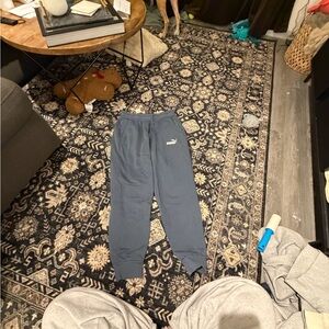 Puma Gray/blue Fleece Joggers